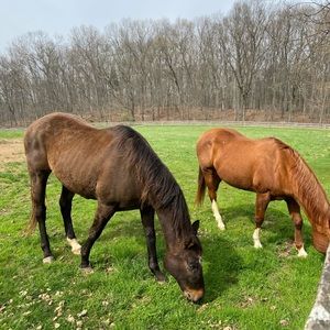 *Custom order* for J!